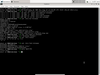 Adélie Linux 1.0 Beta 4 (Endless Summer)