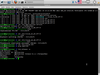 AgiliaLinux 8.1.1.1 (Тельняшка)