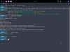 Alter Linux 2020.06.16