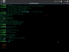 AmogOS x86 1.4.1 (A Sussy Christmas)