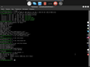 Anadolu Panteri SK 10.9.7
