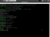 Apartheid Linux Cyberwar Edition