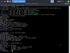 Archman GNU/Linux 2018.01 (Panthera onca)