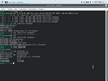 AryaLinux 2.1 (Trisha)