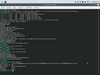 BEEfree OS MMXX Edition