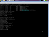 Berry Linux 1.28