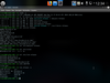 Blackbird OS 1.0 (2019.06)