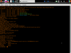 CAINE 11.0 (Wormhole)
