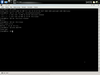CCux Linux 0.9.9