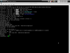 Caos Linux NSA 1.0.29