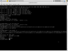 Google Chrome OS 1.5.874