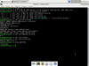 CluLinux Live 6.0