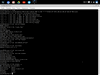 Cub Linux 1.0 RC