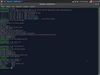 Cyclone Beta 1