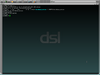 Damn Small Linux 4.4.10