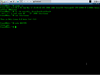 DeLi Linux 0.8 Beta