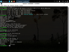DebWin 1.0 (Rahwana)