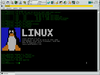 DemoLinux 1.1