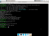 LiveUSB-сборка Dog Linux от gumanzoy