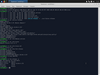 Web Security Dojo 3.4.1