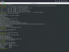 Enso OS 0.3.1 (Dancing Daisy)