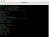Exton|OS build 190521