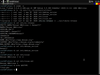 FluXuan Linux 1716