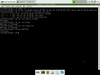 Foresight 2.5.3