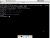 FreeBSD 11.4