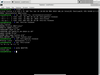 Funtoo GNU/Linux 1.3 (2018-11-20)