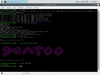 Gentoo LiveDVD 20160704 (Choice Edition Part Dos)