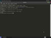 GhostBSD 20.04.1