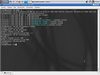 Granular Linux 1.0
