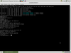 HackShark 3.1