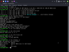 HariOS Beta