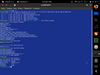 HoleOS 0.2.1 (eoan)
