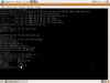 InfraLinux 8.10