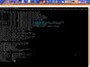 KinderTux 3.03