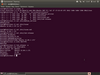 Kiwi Linux 12.08