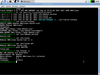 Knoppix 8.1