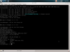 Kongoni GNU/Linux 2011 (Firefly)