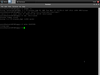 Latest XFCE Puppy Linux 1
