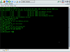 LindowsOS 4.0.302