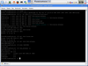Linux+ Live 2006.01 Beta