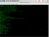 MAX Linux 11.5