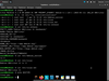 Malbian Linux 1.0 Alpha
