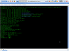 Mandriva Linux 2008 (Spring)