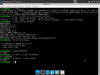 MyBee 13.1.0