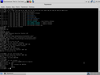 Network Security Toolkit 28 SVN:10234