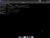 NetBSD 7.1